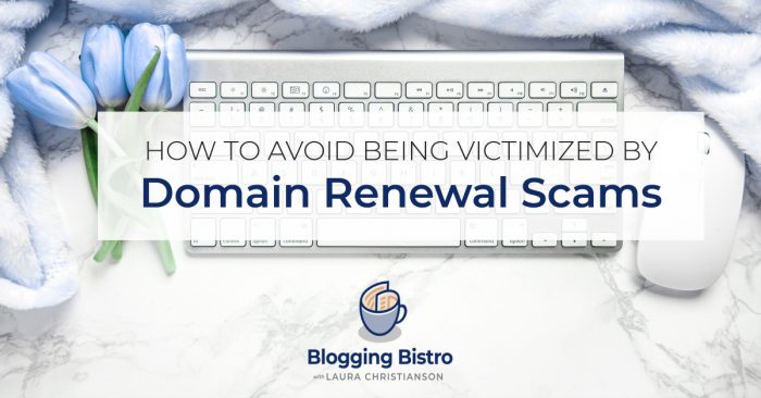 How to avoid being victimized by domain renewal scams