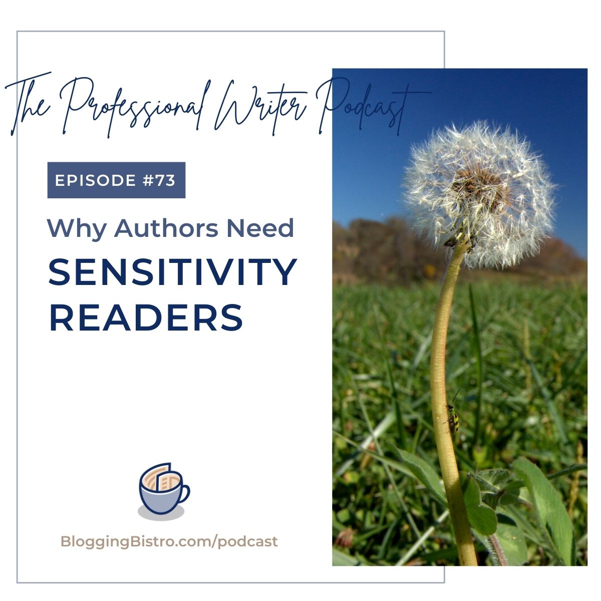 73 – Sensitivity Readers and Subject Matter Experts: Why Authors Need Them